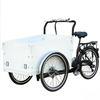 TD-S4B2 Electric Cargo Bike | 36V 250W/350W Brushless Motor, 13.4AH Li-ion Battery - For Urban Delivery & Daily Use