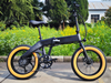 TDN-16 Compact Adventure Folding Fat Tire Electric Bike