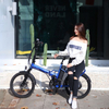 TDN-04 Swift Folding Electric Bike| 7-Speed | Disc Brakes | Aluminum Frame | 250W