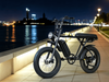 TDE-05B Retro Scrambler Fat Tire E-Bike