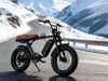 TDE-05B Retro Scrambler Fat Tire E-Bike