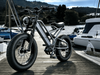 TDE-07 TerraBlaster RS | Fat Tire Electric Bike