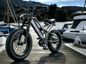 TDE-07 TerraBlaster RS | Fat Tire Electric Bike