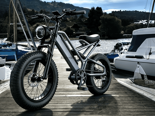 TDE-07 TerraBlaster RS | Fat Tire Electric Bike