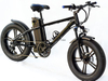 TDE-06 TrakFat 750 All-Terrain E-Bike