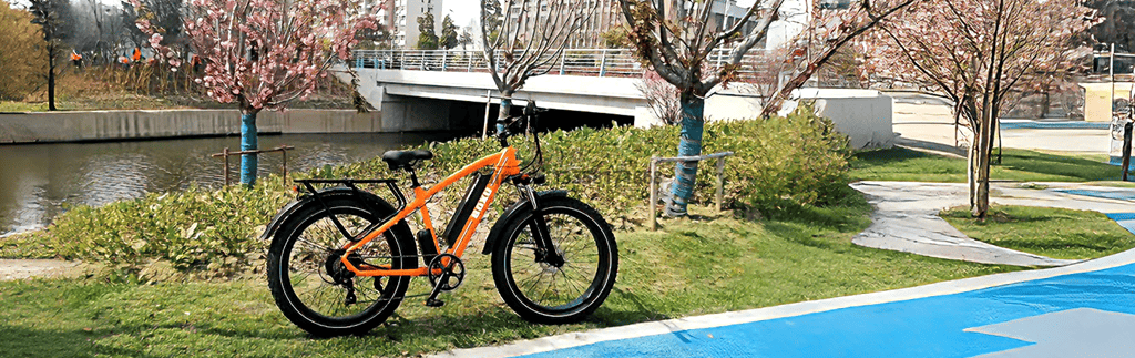 微信图片_20260319112858_1470_113_副本