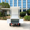 TY-06 Electric Tricycle Mobile Vending Caro 