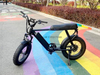 TDE-05 Grizzly 20 Fat Tire Electric Bike