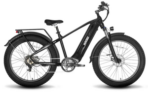 Eagle Long Range Electric Bicycle