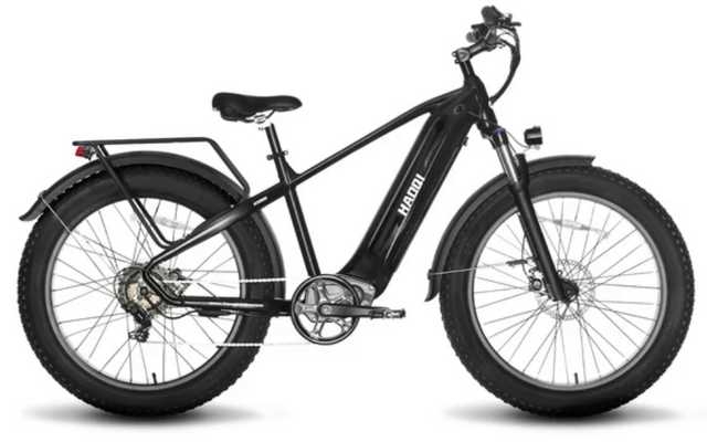 Eagle Long Range Electric Bicycle