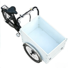 TD-S4B2 Electric Cargo Bike | 36V 250W/350W Brushless Motor, 13.4AH Li-ion Battery - For Urban Delivery & Daily Use