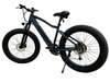 TDE-01 ThunderFat 500 | Electric Fat Tire Bike