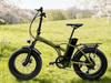 TDN-02 TrailBlazer Folding Fat Tire E-Bike
